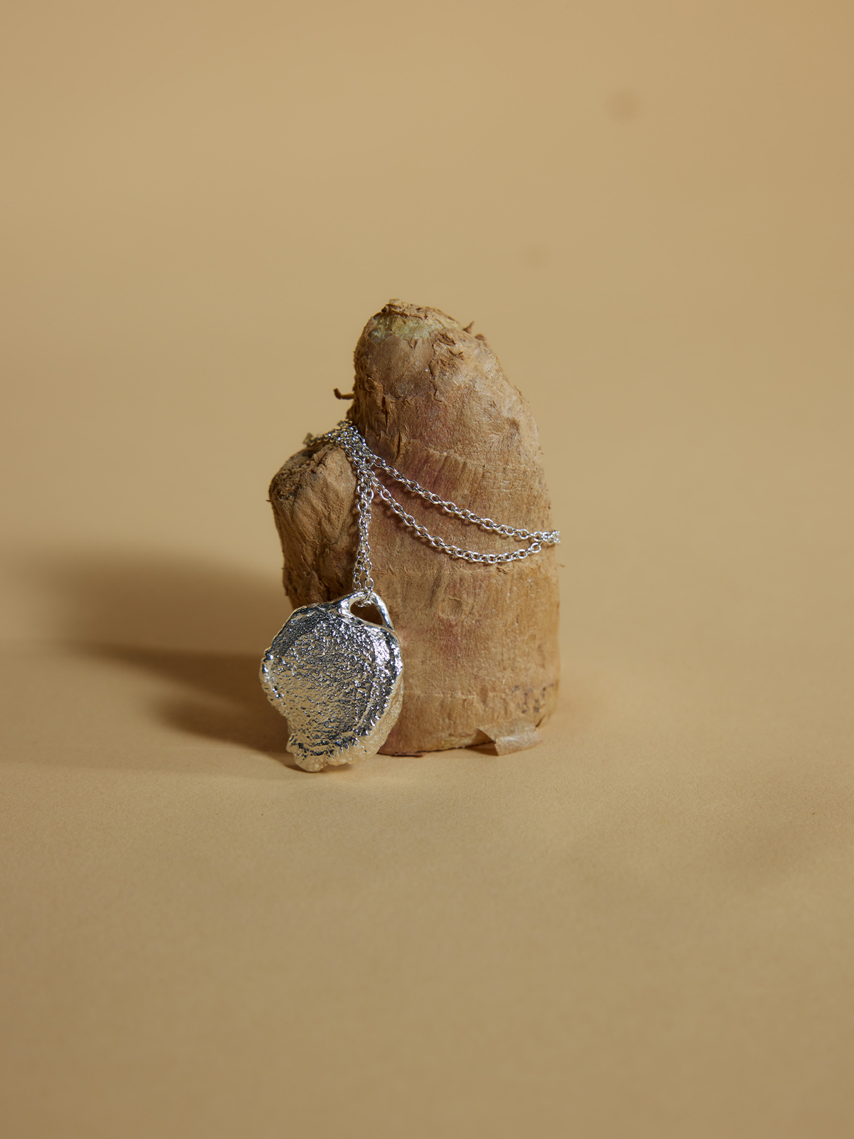 Ginger Loop — Large Disc Necklace (Silver) - Image 4