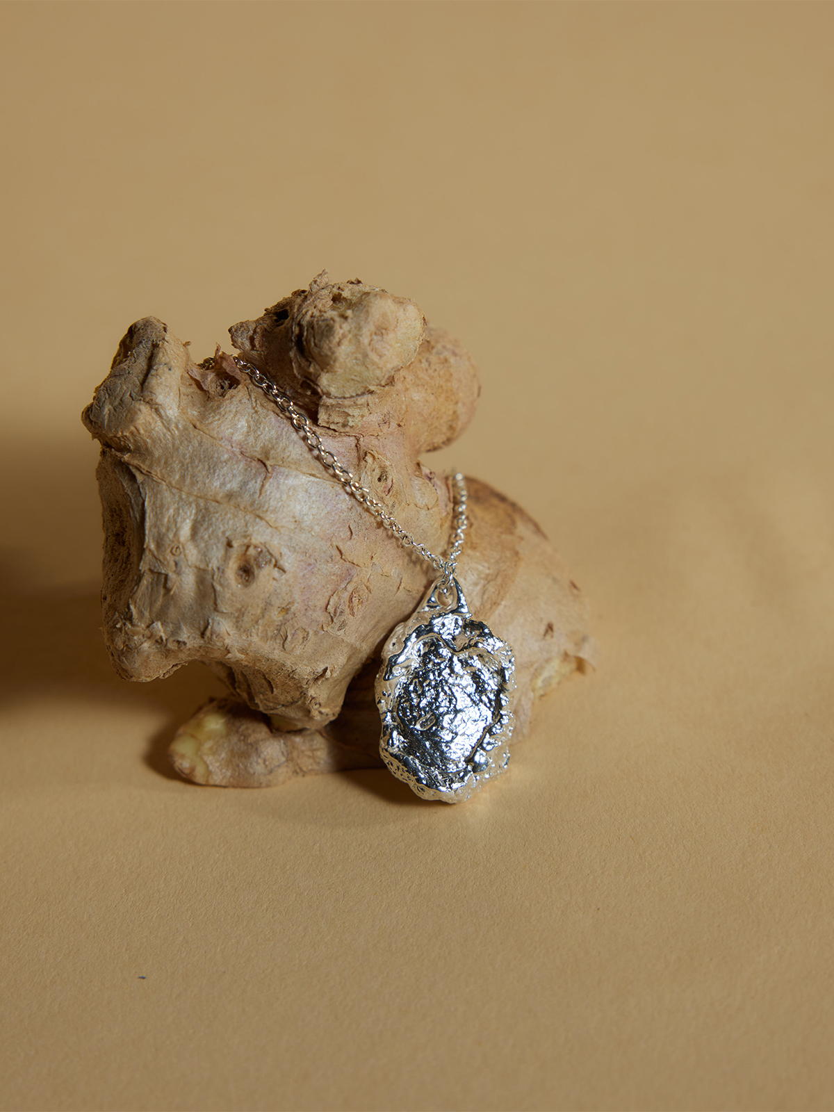 Ginger Loop — Medium Disc Necklace (Silver) - Image 3