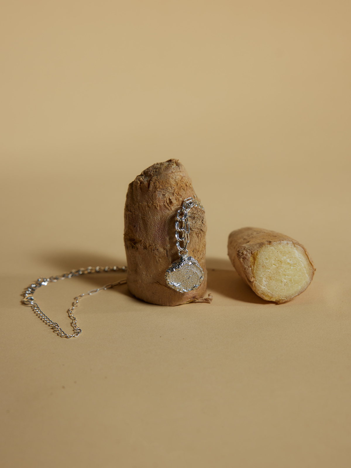 Ginger Loop — Small Disc Necklace (Silver) - Image 4