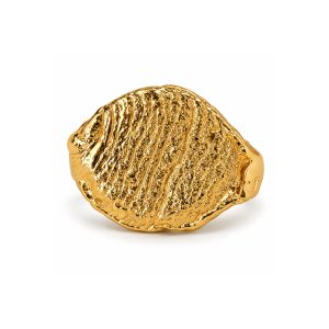 Ginger Loop — Disc Ring (Gold) product photo